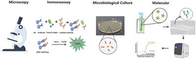 Application of machine learning based genome sequence analysis in pathogen identification